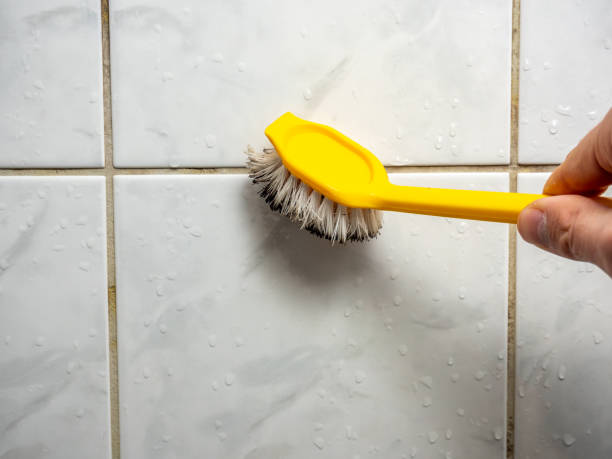 Best Attic Mold Removal  in North Massapequa, NY
