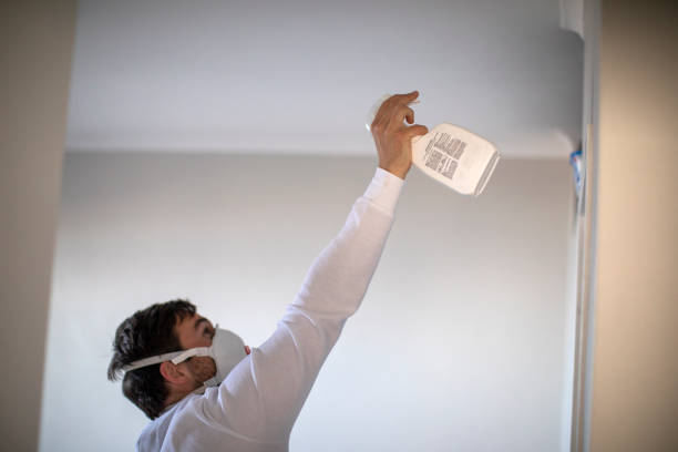 Professional Mold Removal in North Massapequa, NY