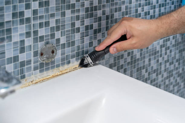 Best Local Mold Removal Service  in North Massapequa, NY